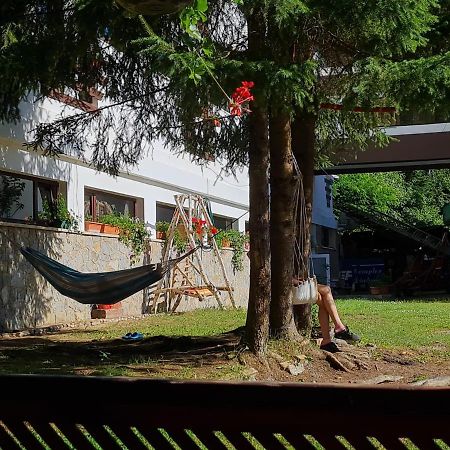Randunica Hotel Valiug Bagian luar foto