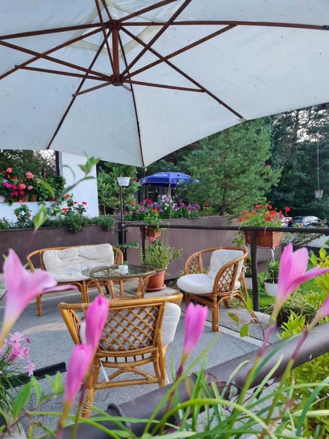Randunica Hotel Valiug Bagian luar foto